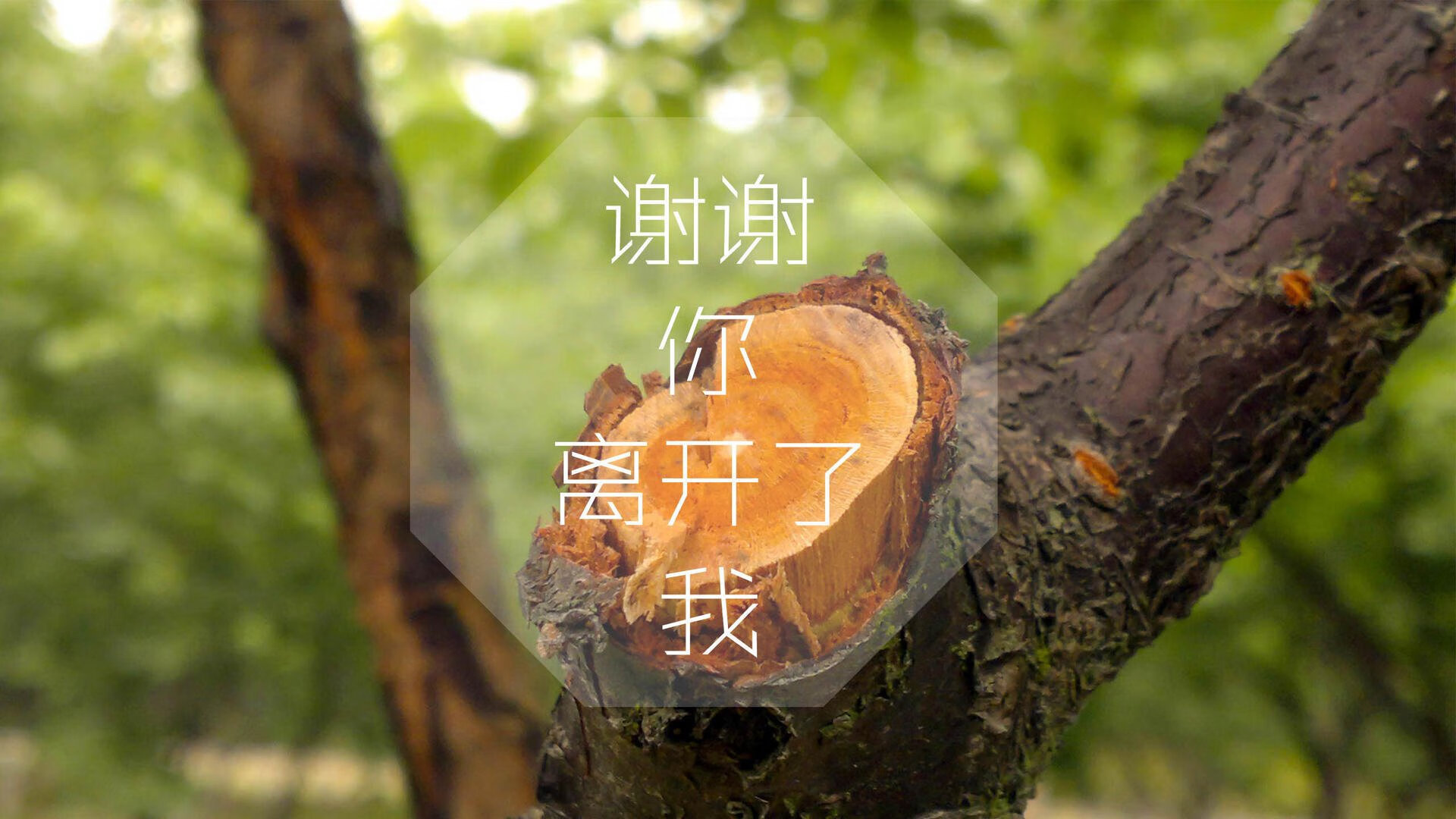 IM体育官方网站-西甲多队加强防守体系，战绩明显提升，西甲几只球队降级