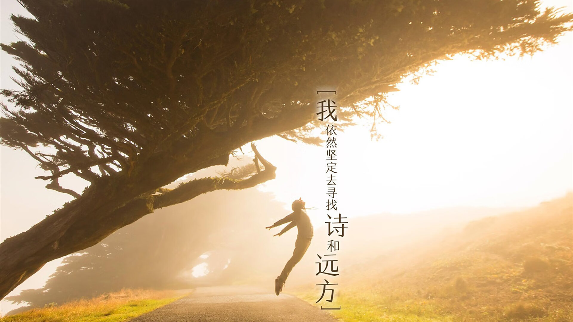 西甲官方举办足球节，推动青少年普及足球运动，足球比赛西甲