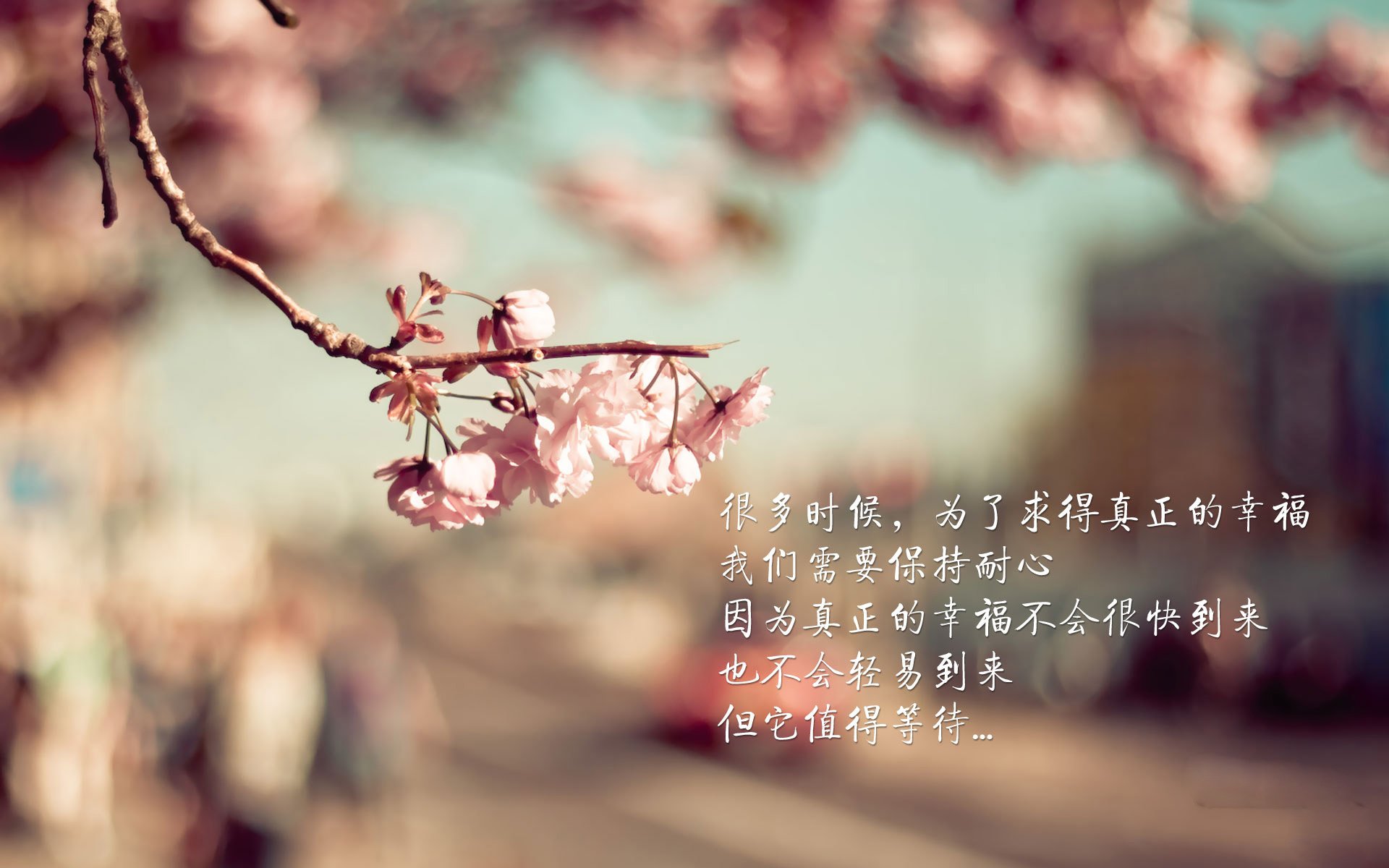 im体育官方平台-青队主帅公开表态，决心赢下下场比赛，中国青年队主教练
