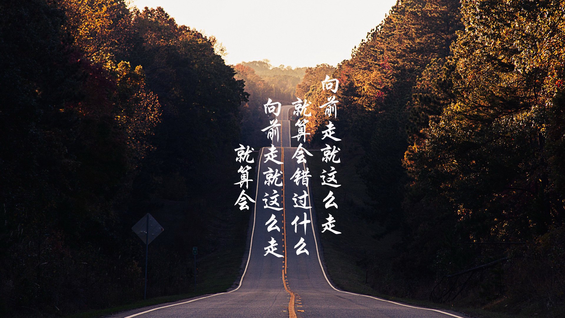 im体育-“2025滑轮赛：新生代选手的惊艳表现引爆全场”