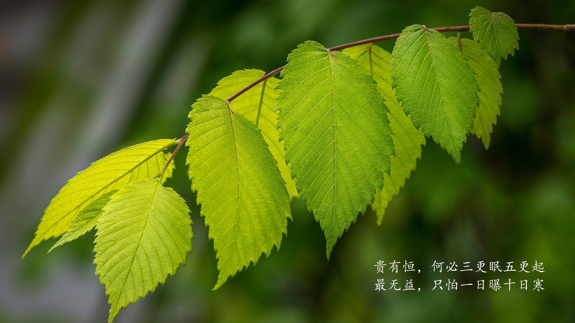 球员心理辅导体制不完善，球员心理辅导体制不完善的原因