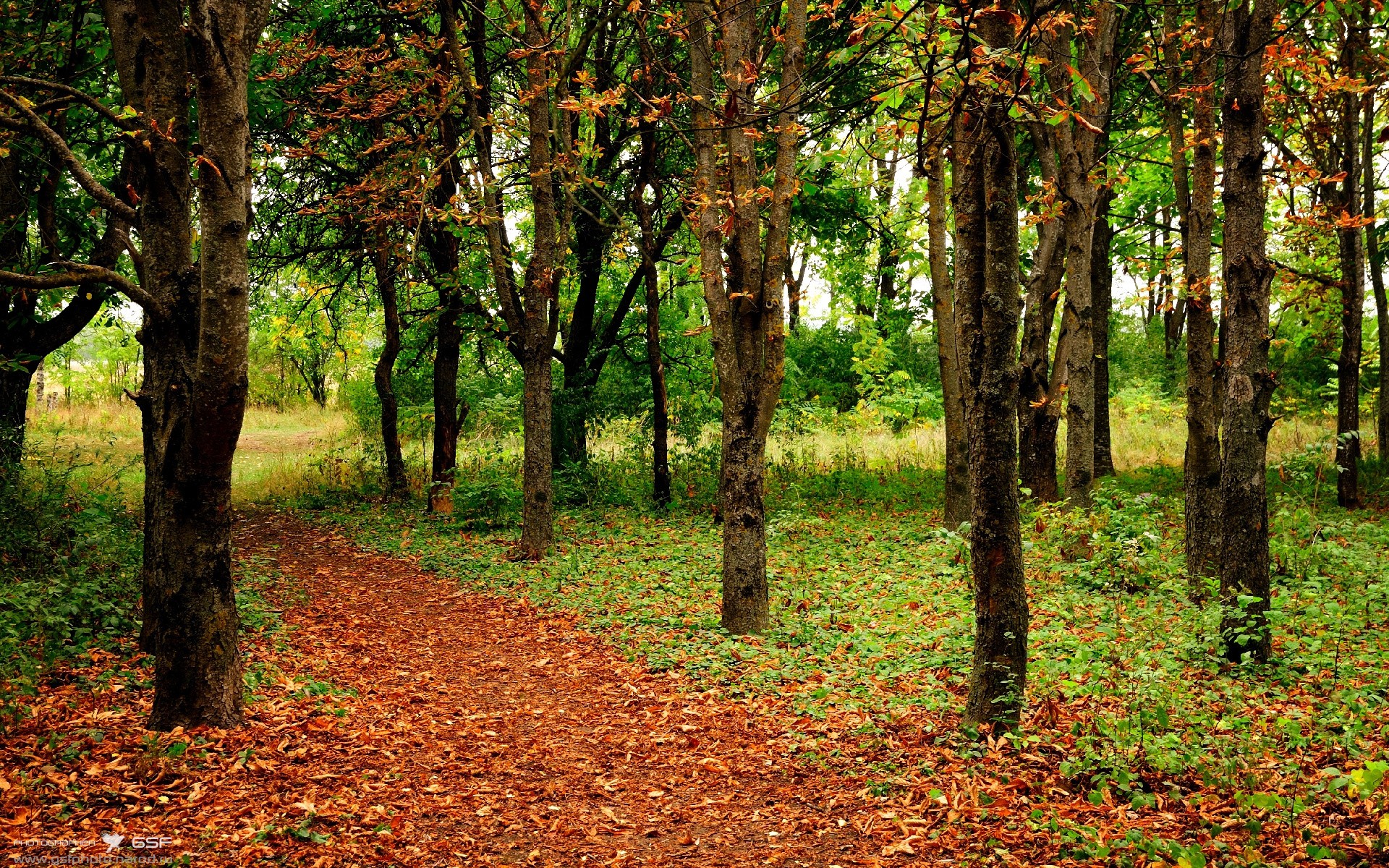 辽宁飞豹调整战术节奏掌握比赛主动权，辽宁飞豹吧 百度贴吧