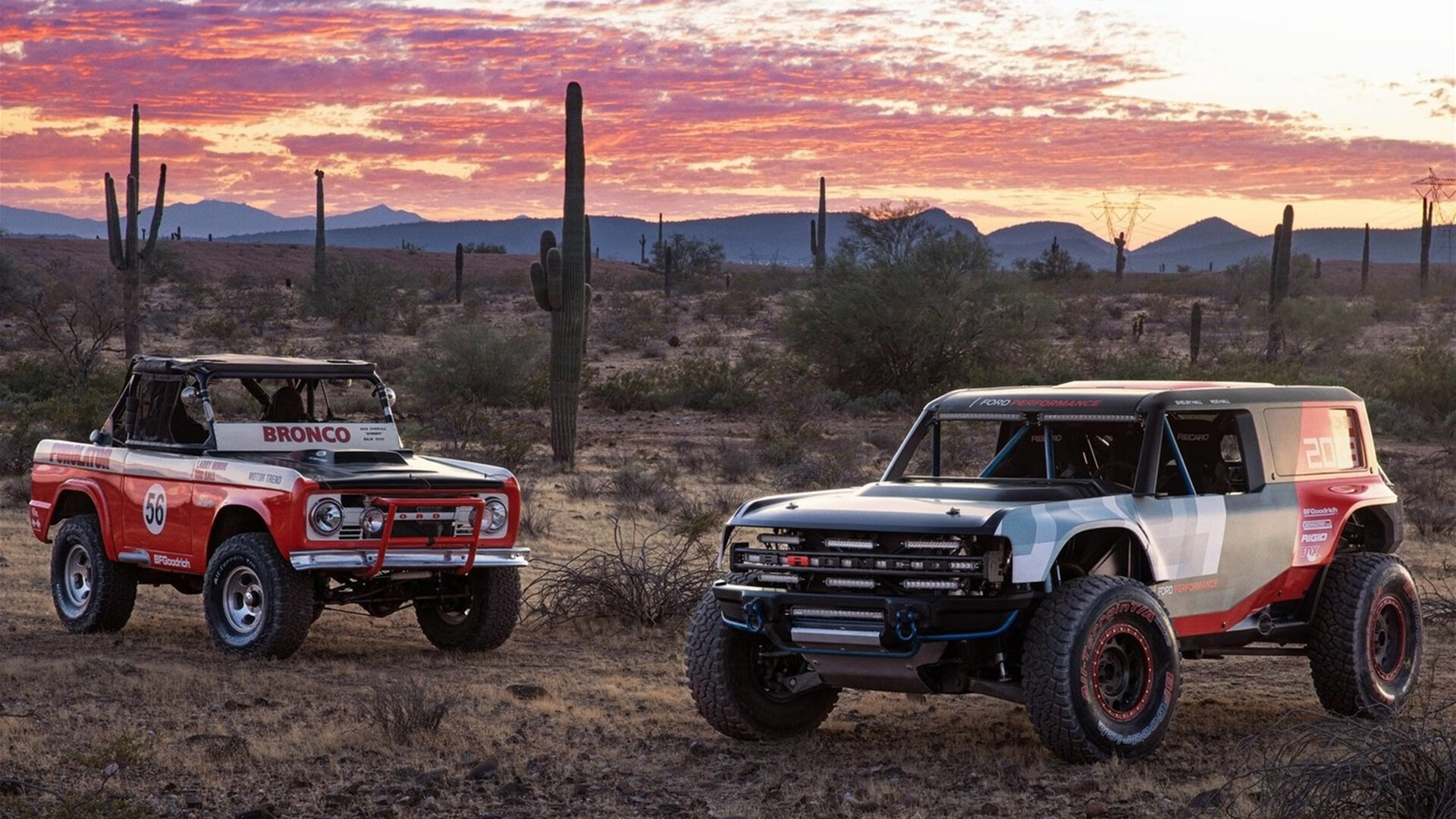 法国新星崭露头角，未来前景广阔