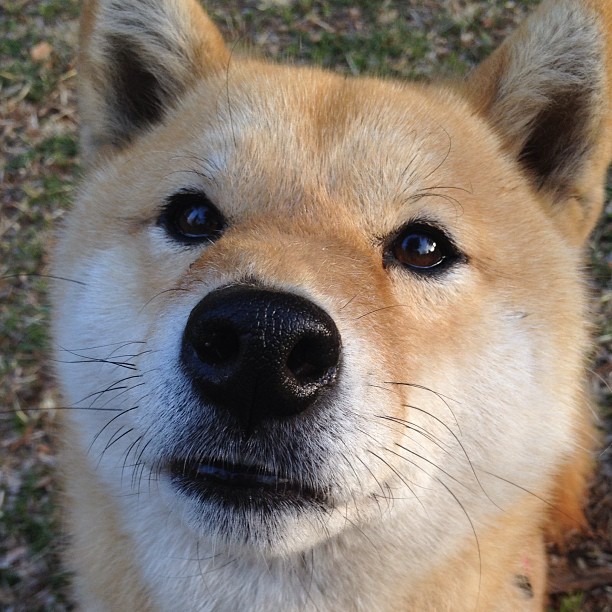 温斯坦奋力一搏 决赛留下高光瞬间，温斯坦莱